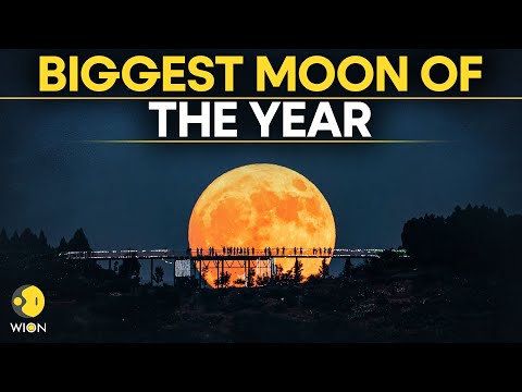 Supermoon 2025 LIVE: India Experiences Full Moon November Supermoon 2025 | Full Beaver Supermoon