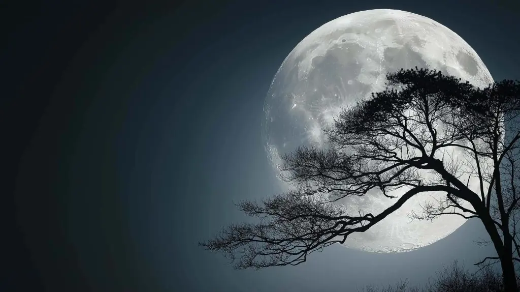 Full Moon December 2025: How to See the Rare Cold Supermoon and What It Means