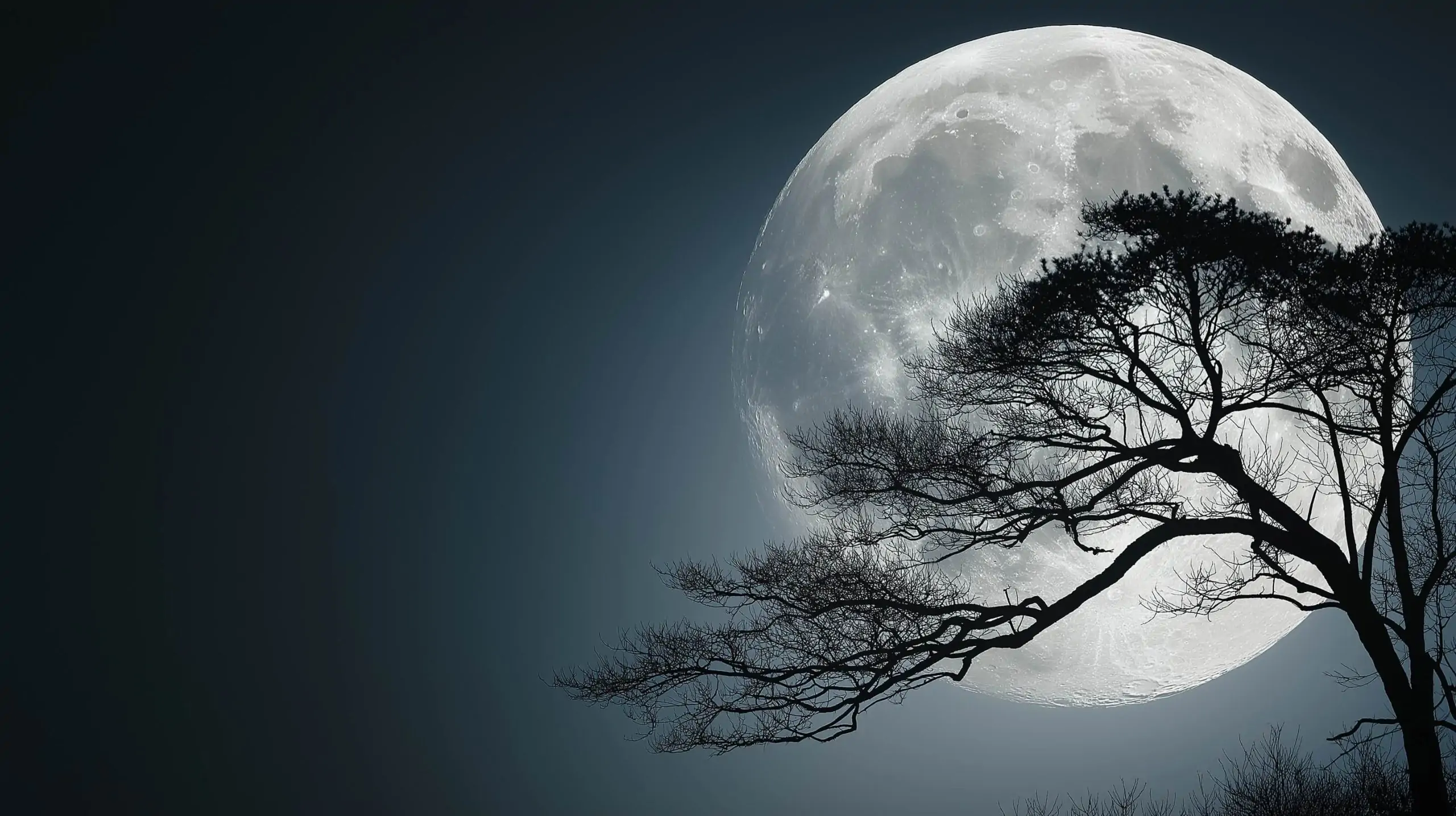 Don’t Miss October 2025’s Super Hunter’s Moon – A Dazzling Full Moon Spectacle
