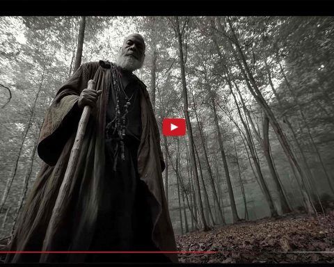 Hailuo AI vs Pollo AI vs Runway: The Ultimate AI Showdown in 2025