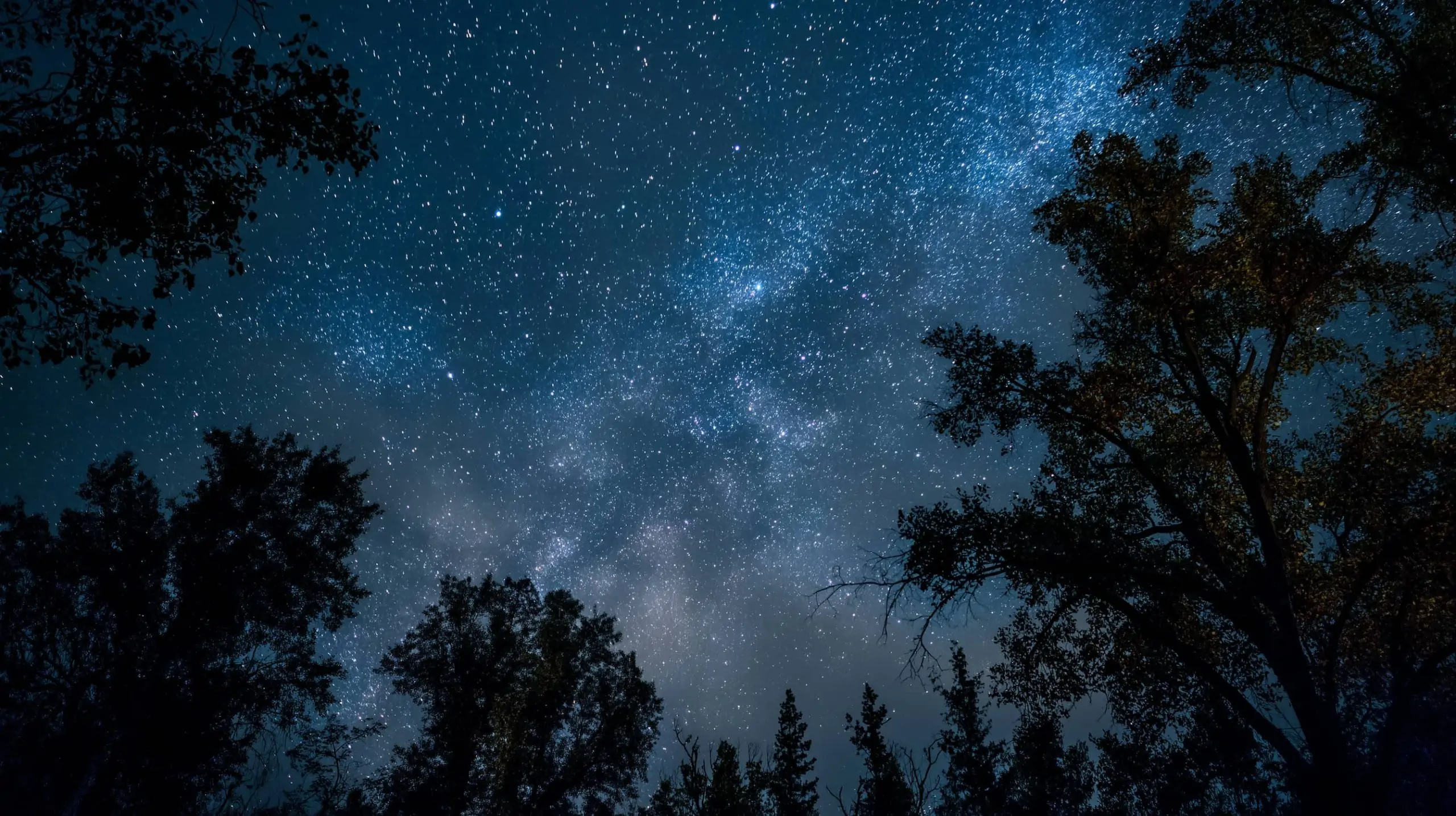 Cosmic Spectacle: What to Watch in the Sky on August 25–26, 2025