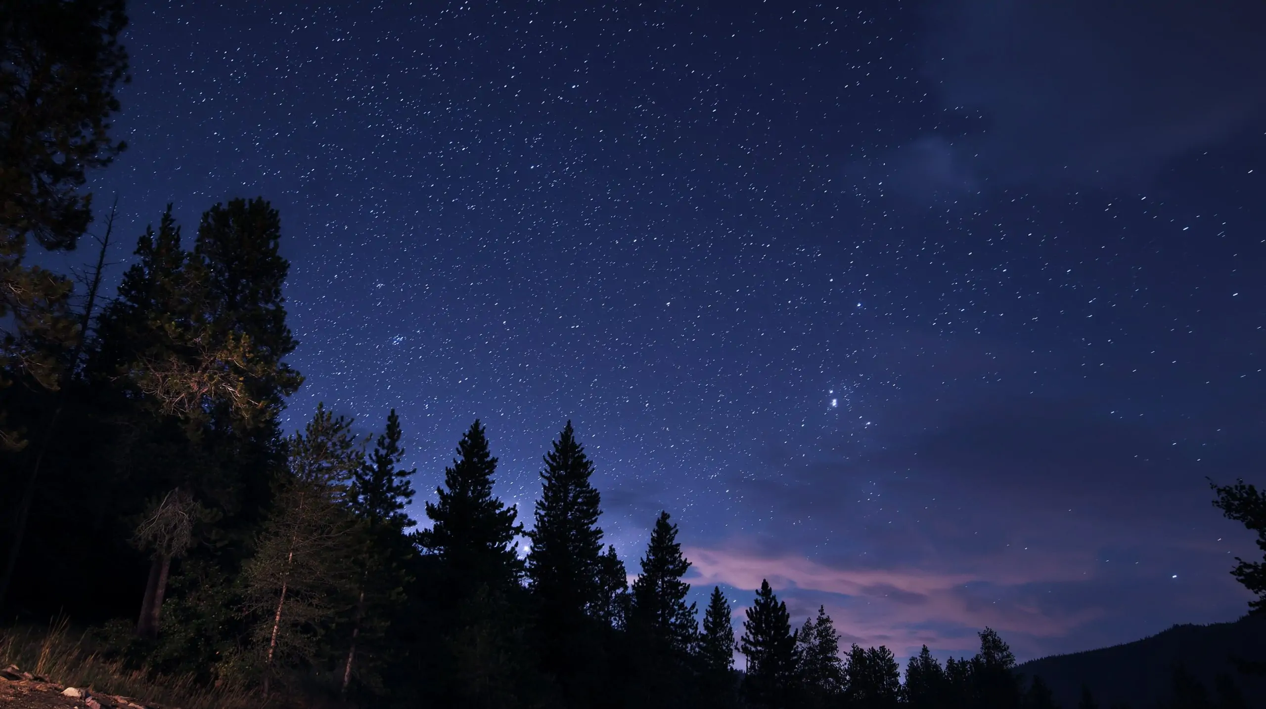 Aug 27–28 Sky Spectacle: Dark Skies, “Black Moon” Magic & SpaceX Light Shows