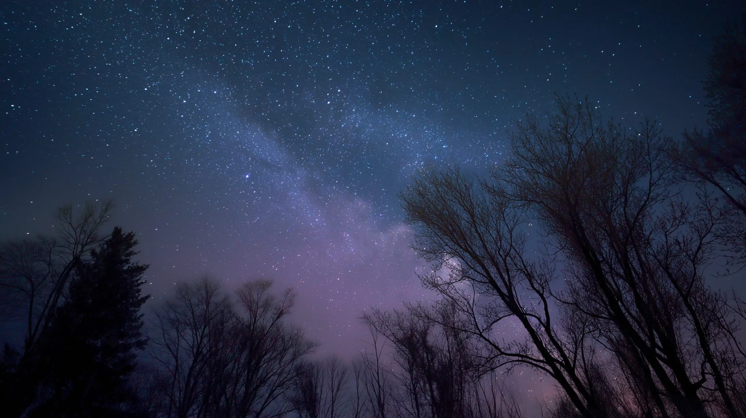 Skywatch Alert: Perseid Meteors, Sturgeon Moon & Venus-Jupiter Conjunction Dazzle Aug 9–10, 2025