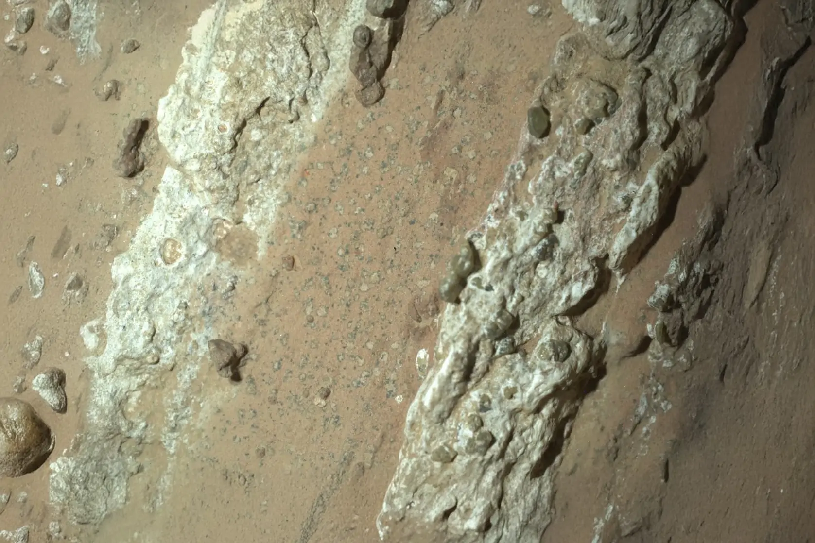 Leopard-Spotted Mars Rock Could Hold ‘Clearest Sign of Life’ Yet, NASA Says