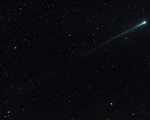 Mysterious Comet SWAN R2: New Interstellar Visitor or Oort Cloud Wanderer?