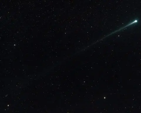 Mysterious Comet SWAN R2: New Interstellar Visitor or Oort Cloud Wanderer?