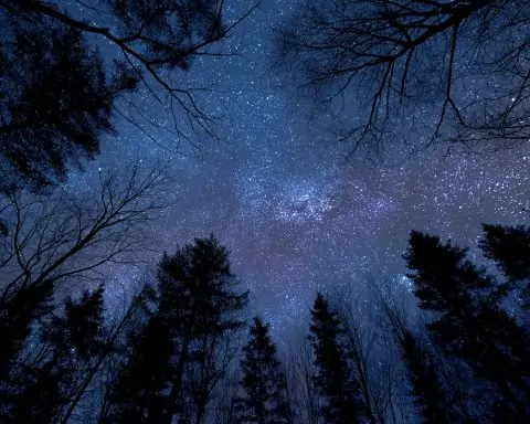 Cosmic Showcase: What’s Up in the Sky on Sept 28–29, 2025