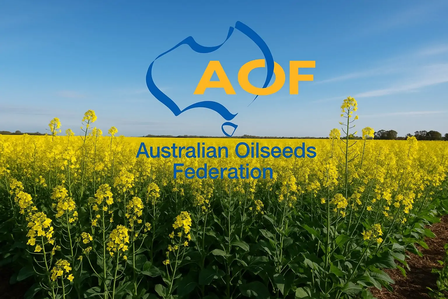 ASX:COOT TRIPLES AS TRADE WAR TALK IGNITES AGRI STOCK RALLY