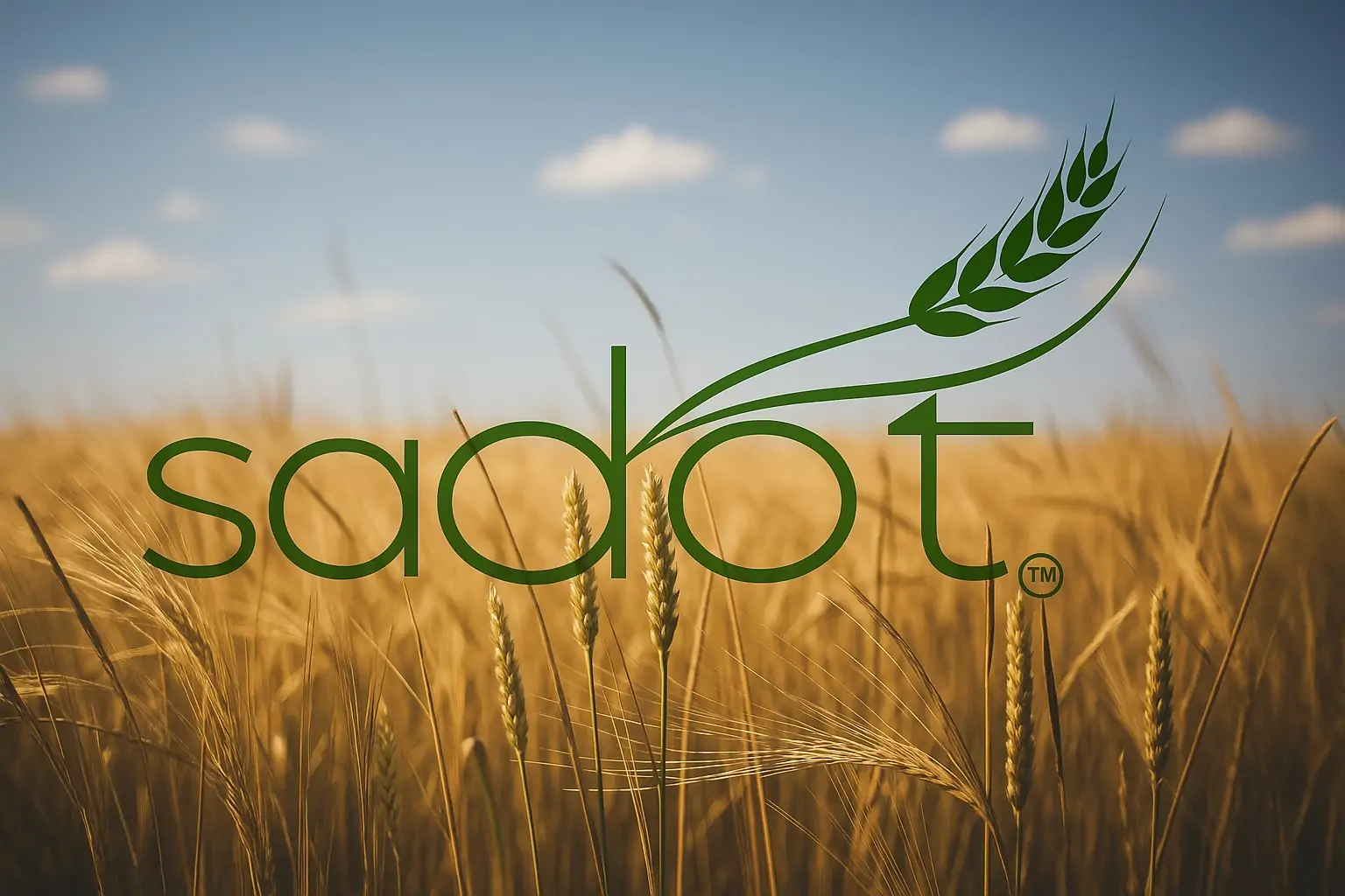Sadot Group (SDOT) Stock Skyrockets 183% After Trump’s Cooking Oil Tweet – What’s Next?