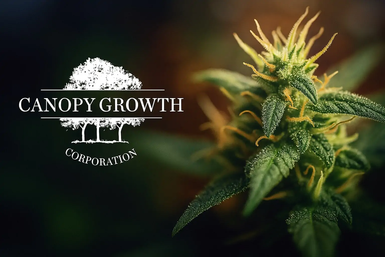 Canopy Growth (CGC) Lifts ‘Going Concern’ Doubts as Cash Tops Debt; Q2 FY2026 Shows 30% Canada Adult‑Use Growth