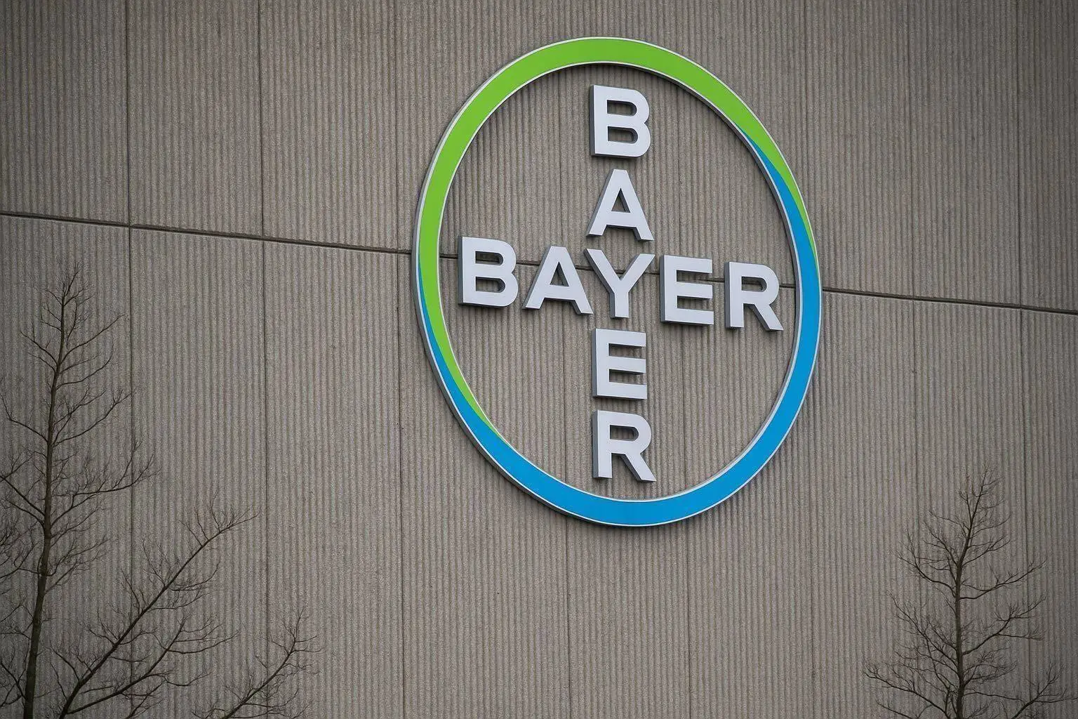 Bayer Aktie Soars After U.S. Roundup Breakthrough: Latest News, Analyst Forecasts and 2026 Outlook (4 December 2025)