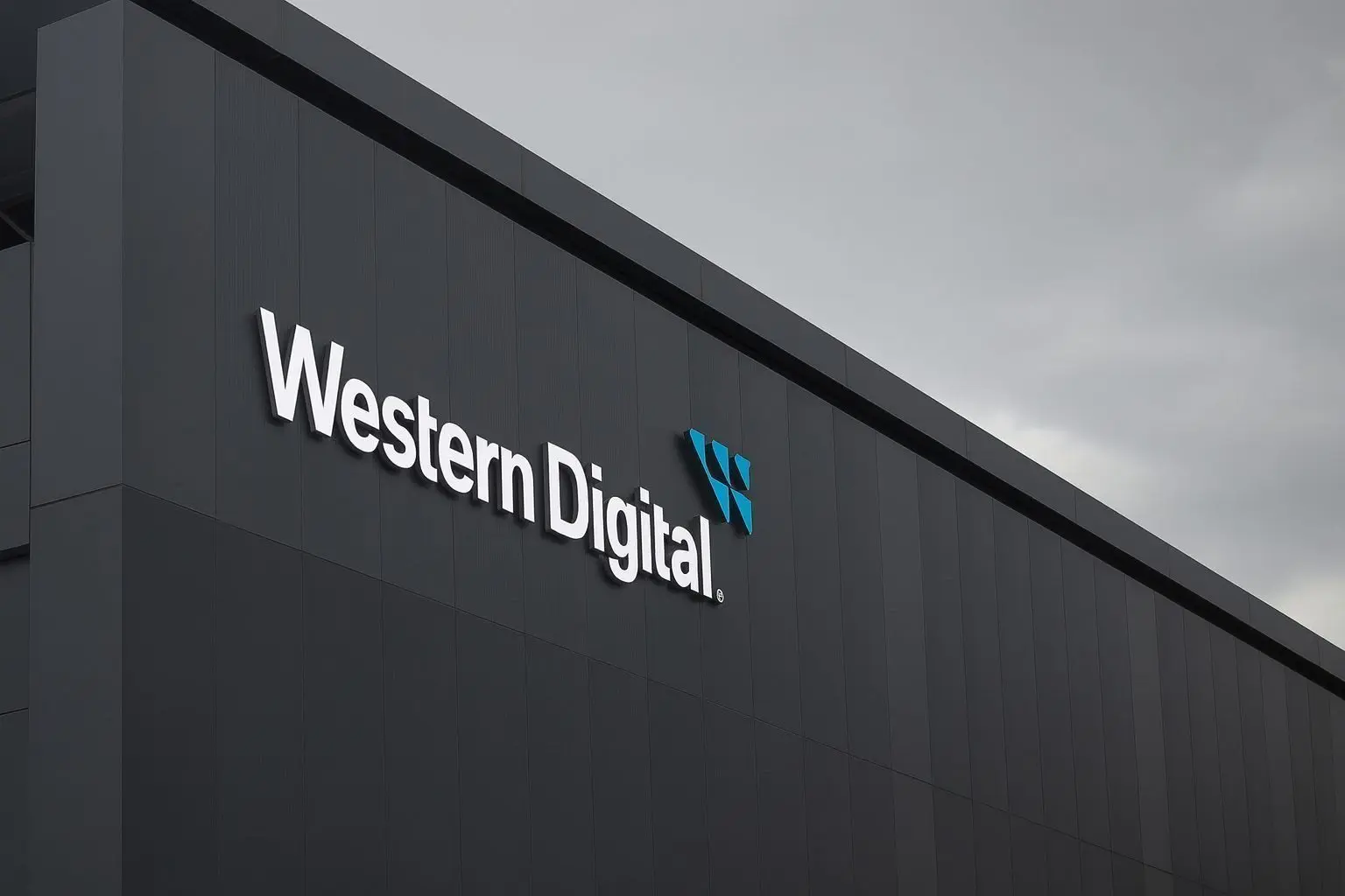 Western Digital (WDC) Stock Soars 260% in 2025: AI Storage Champion or Late-Stage Risk?