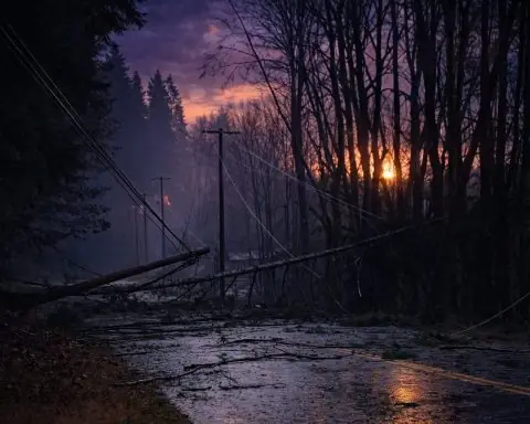 Aktualizacja przerw w dostawie prądu BC Hydro (17 grudnia 2025): Skutki wichury utrzymują się w Kent, Hope, na Wyspie Vancouver i w Metro Vancouver