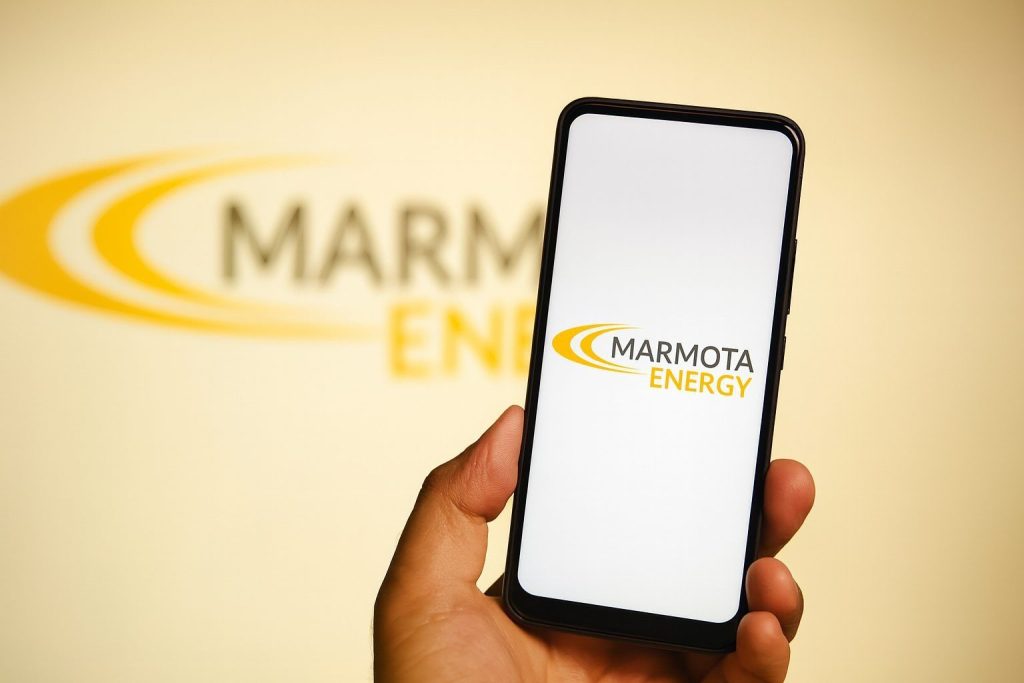 ASX Top Gainers Today: Marmota, Fenix, H&G High Conviction and More Defy a Choppy Market (11 December 2025)