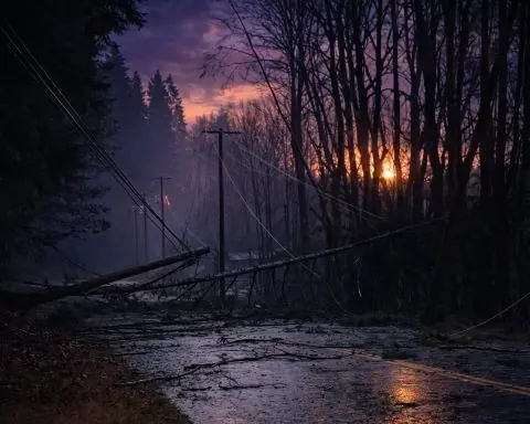 BC Hydro Stromausfall-Update (17. Dez. 2025): Sturmschäden dauern in Kent, Hope, Vancouver Island und Metro Vancouver an
