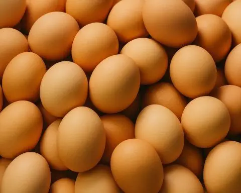 California Vega Farms Egg Recall: 63 Sick, 13 Hospitalized in Salmonella Outbreak—How to Identify Affected Eggs