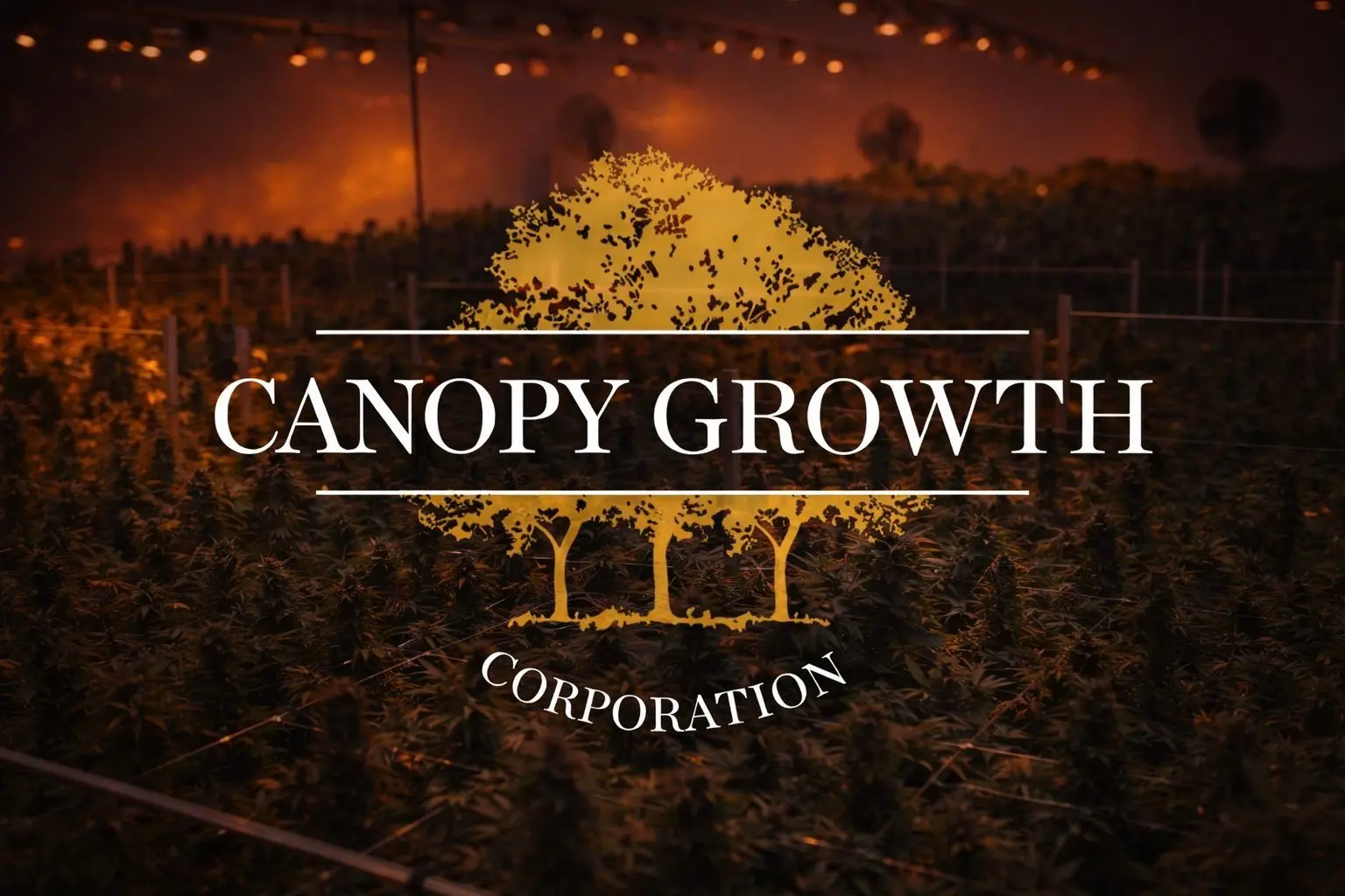 Canopy Growth (CGC) Stock on Dec. 24, 2025: Schedule III Executive Order, MTL Cannabis Deal, and the Latest Forecasts
