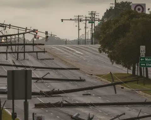 Geraldton Power Outage and Tasmania Wild Winds: Storm Damage Leaves Thousands Without Electricity on December 14, 2025