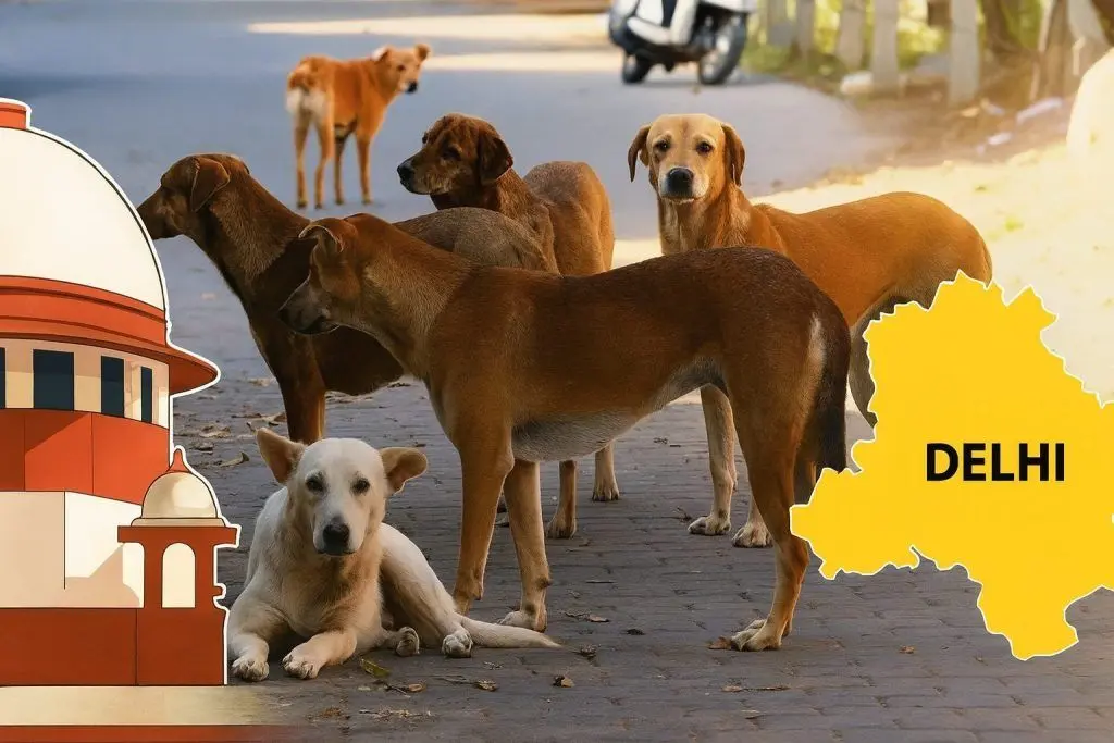 India’s Big Bank Debate and Kerala’s Stray Dog ABC Drive: Key Updates and What’s Next (December 12, 2025)