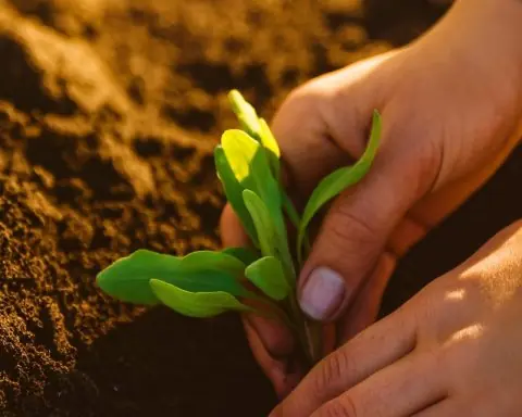 New ‘Home Orchard’ Guide and FOSS Pathways Science Curriculum Signal Research-Backed Shift in Gardens and Classrooms