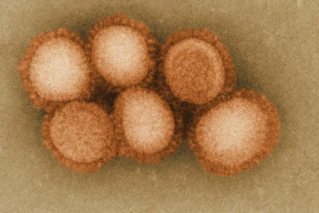 ‘Superflu’ H3N2 K-Strain: Symptoms, Vaccine Protection and How the New Flu Variant Is Hitting Hospitals This Winter