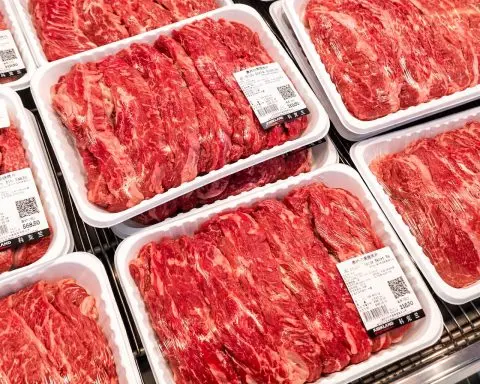 China’s 55% beef tariff hits Australia as China caps imports for 2026