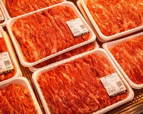 China’s 55% beef tariff triggers quota scramble, squeezing Australian wagyu and Angus