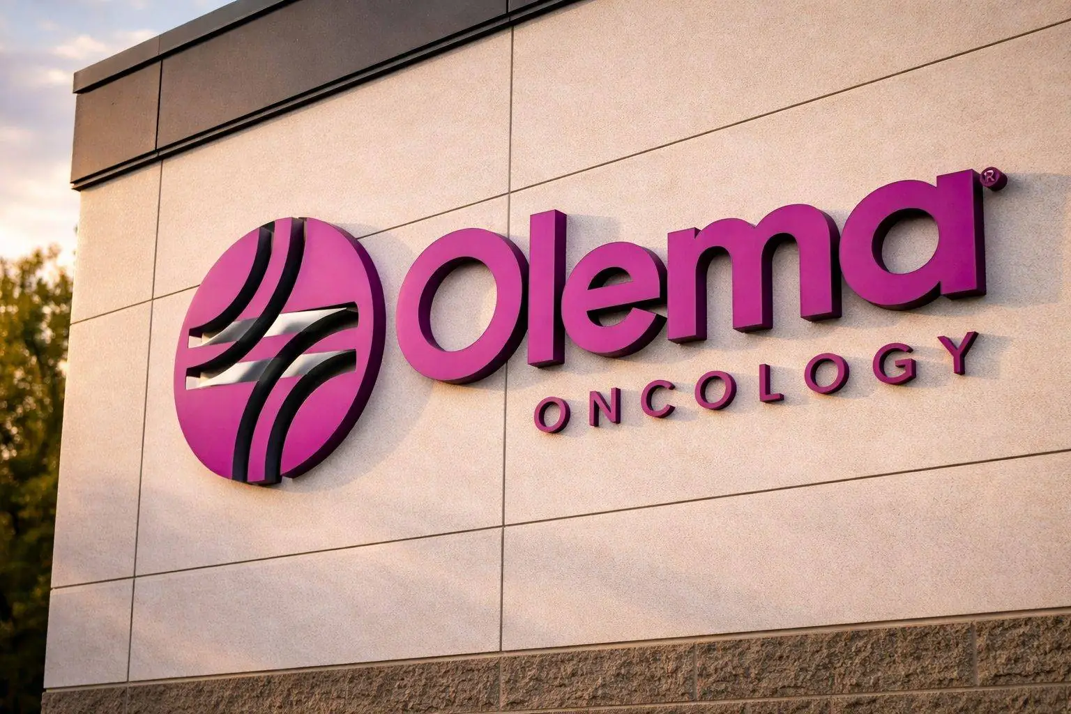 Olema Pharmaceuticals (OLMA) stock jumps 6% in a weak market — what to watch next