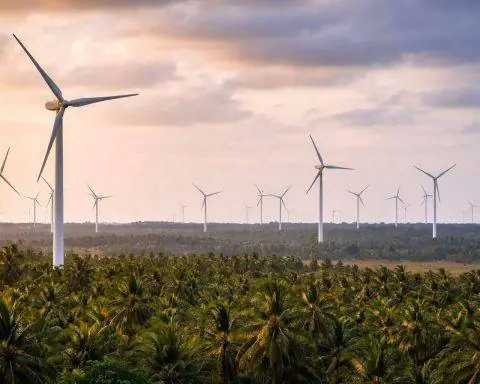 Puducherry could meet 60%+ of power demand from renewables by 2030, Auroville study says