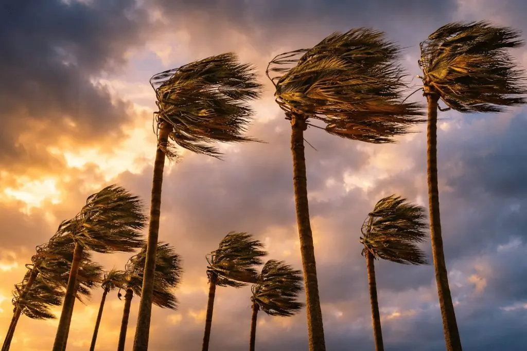 Santa Ana winds roar back: NWS warns of 70 mph gusts, outages risk across Southern California