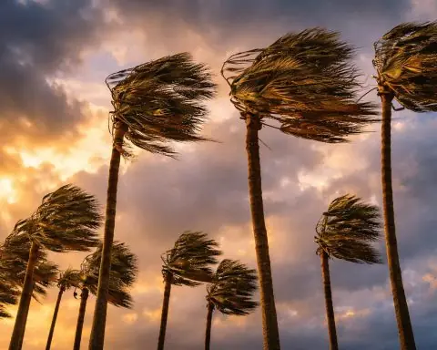 Santa Ana winds roar back: NWS warns of 70 mph gusts, outages risk across Southern California