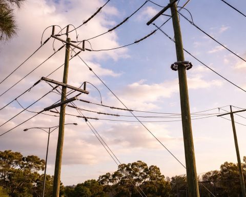 Western Power’s WA grid-support buy gets go-ahead as possum and bird guards roll out