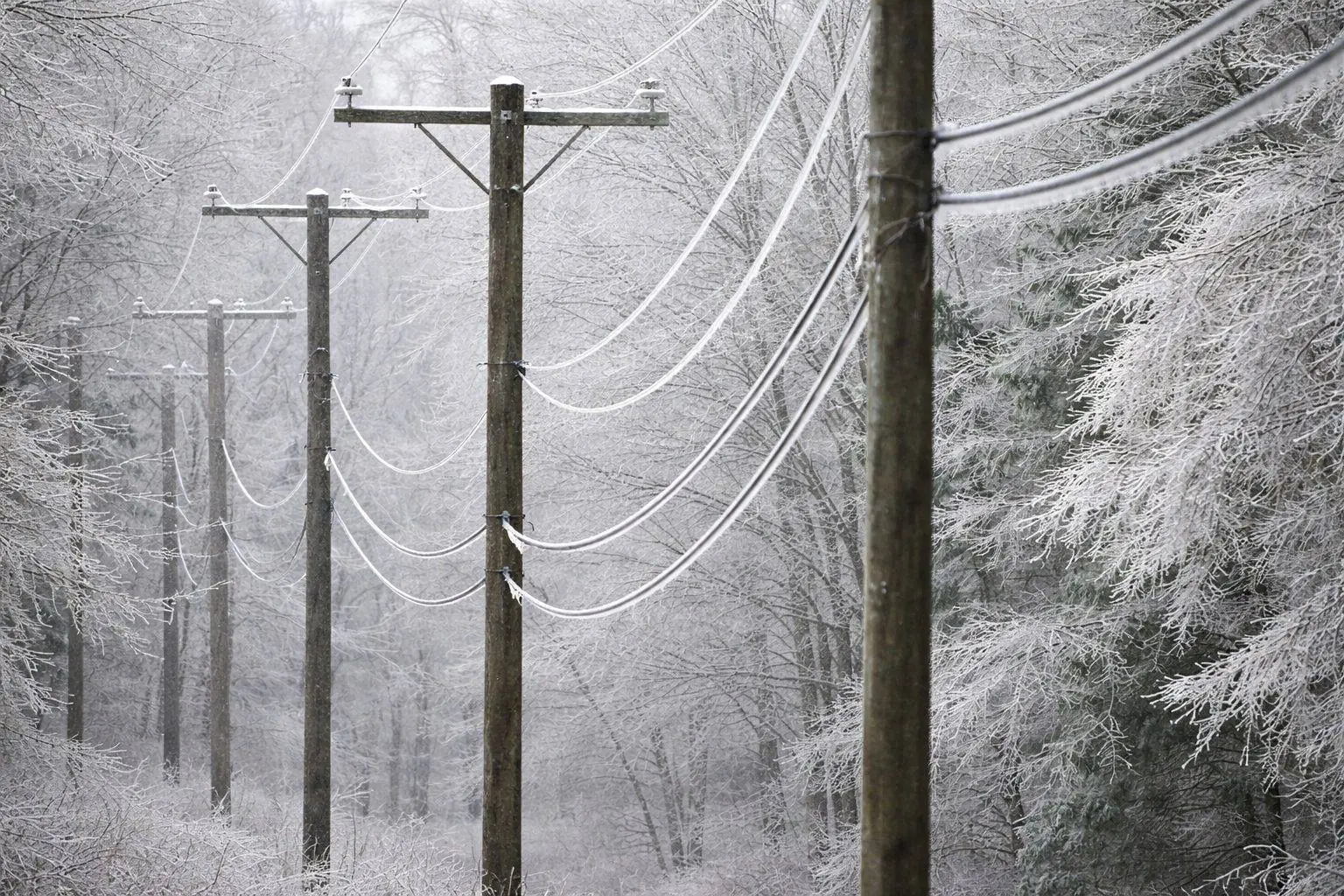 Winter Storm Fern jolts U.S. power prices above $1,800 as PJM outages jump