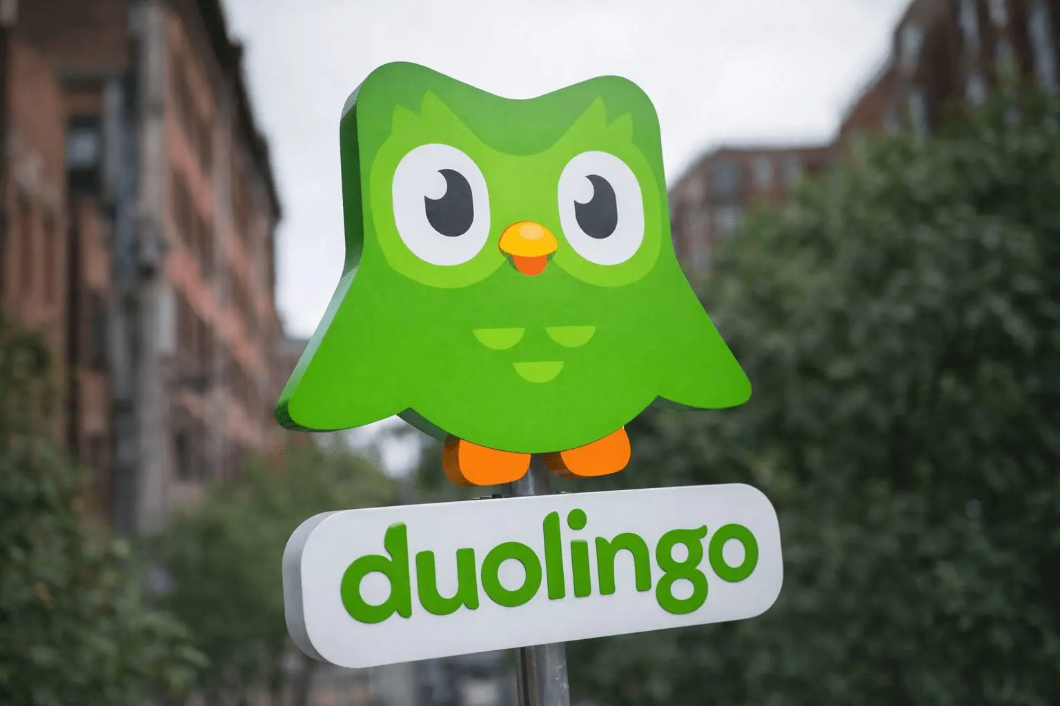 Duolingo stock price near $113 as traders eye Feb. 26 earnings after sharp slide