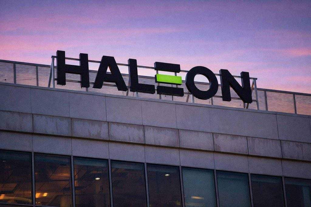 Haleon share price slips as Wellington flags near-5% stake ahead of Feb 25 results
