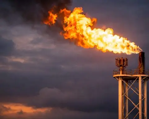 Natural gas price dives as warm forecasts bite; Expand Energy stock slumps on CEO exit