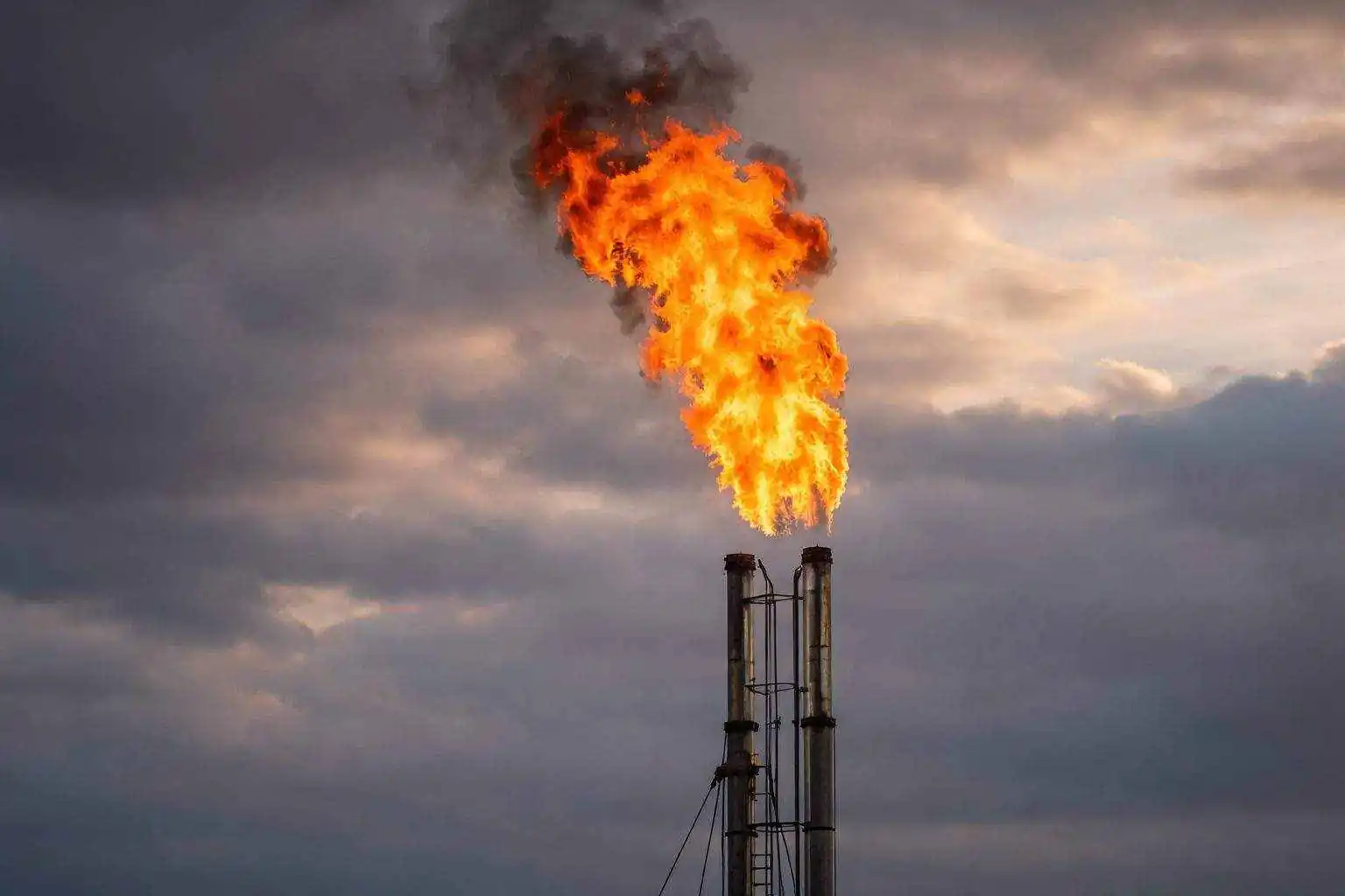 Natural gas price today: Henry Hub steadies after huge EIA draw as Cheniere stock slips