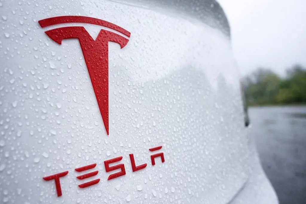 Tesla stock jumps on SpaceX-xAI merger chatter; what TSLA traders watch next week