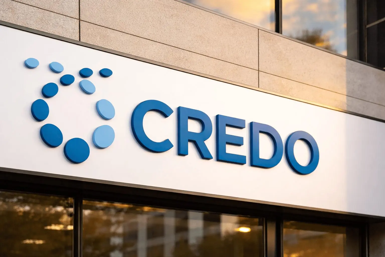 Credo Technology Group Holding stock jumps as Broadcom backs copper over optics in AI racks