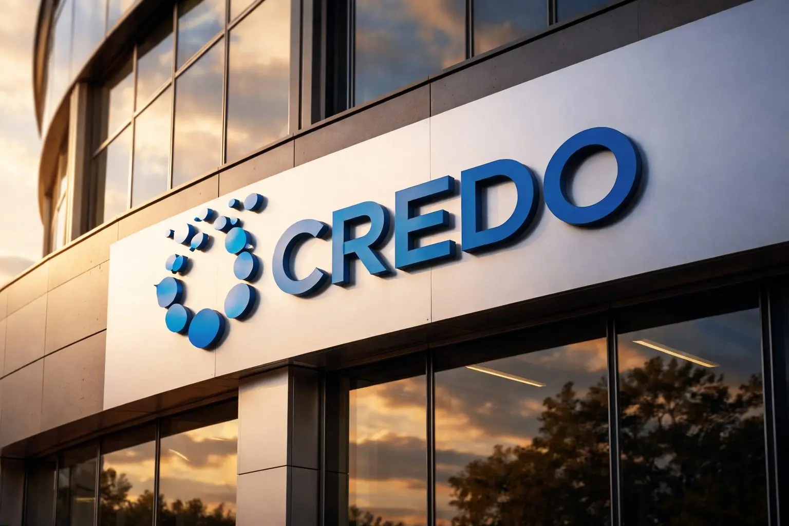 Credo Technology stock slides 14% after record quarter as margin outlook draws focus