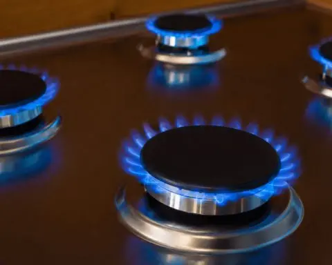 Dutch Regulator Moves on Gas Bills, Fine Print Surprises Consumers
