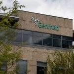 Genmab Stock Tumbles as Merus Deal Costs Cloud $896 Million Revenue Jump