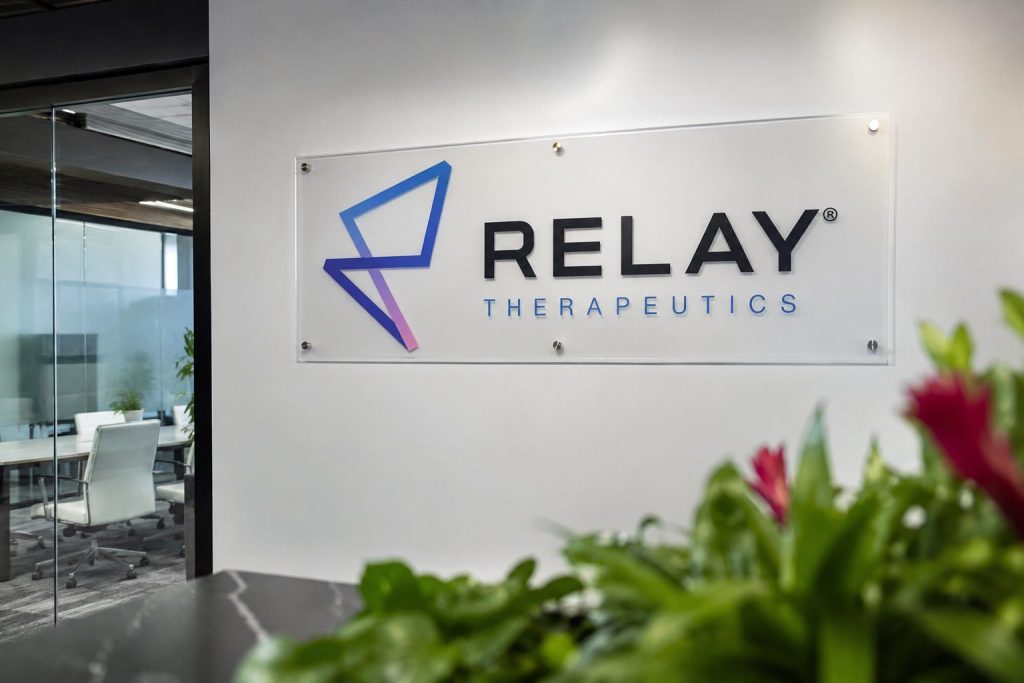 Relay Therapeutics Shares Rise In Pre-Market Ahead Of Key Drug Update