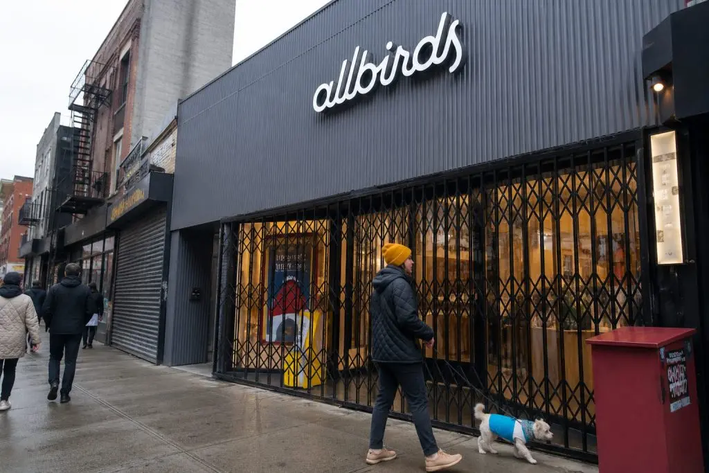 Allbirds rallies after Smartbird AI pivot puts BIRD in focus