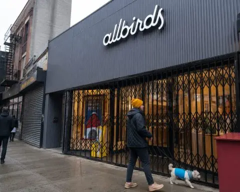Allbirds rallies after Smartbird AI pivot puts BIRD in focus