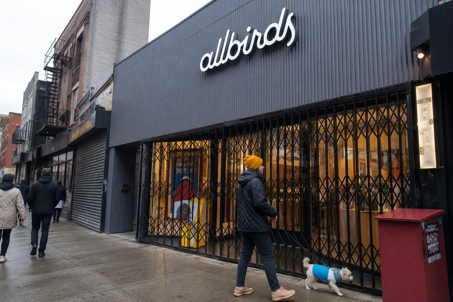 Allbirds rallies after Smartbird AI pivot puts BIRD in focus