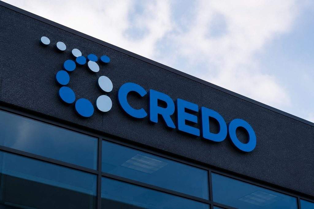 Credo shares surge, AI cable outlook grows, but little room left for error