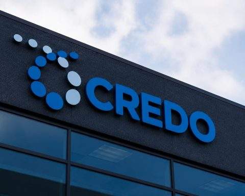 Credo shares surge, AI cable outlook grows, but little room left for error