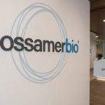 Gossamer Bio (NASDAQ:GOSS) Shares Surge as FDA Progress Highlights Path Forward; Cash Covenant Looms as Next Hurdle