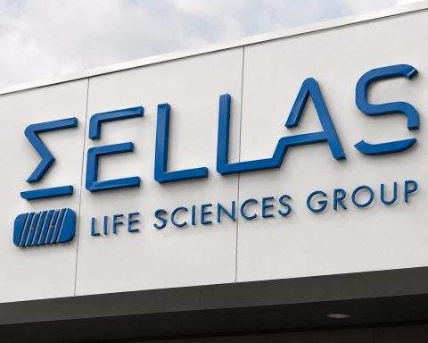 SELLAS Life Sciences shares drop 14% amid REGAL delay, challenging $2.2 billion valuation